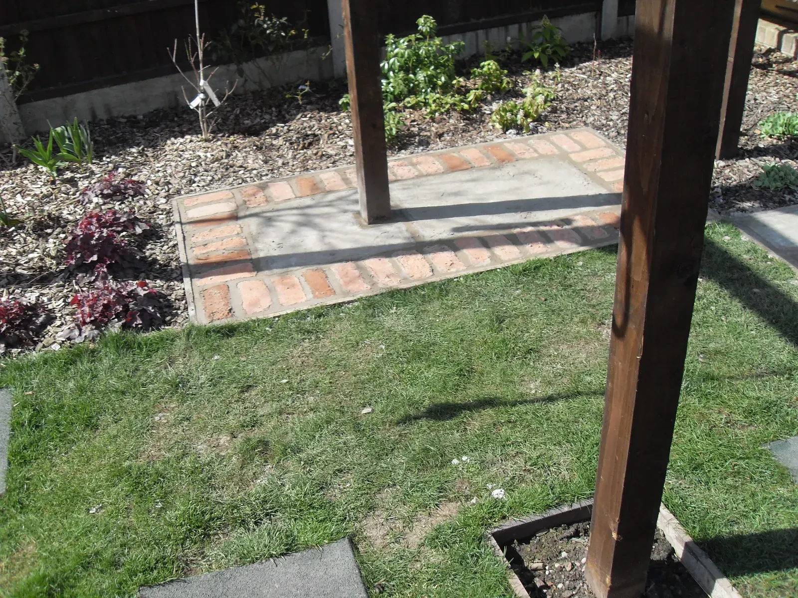 Paved path with brick border running beneath a pergola